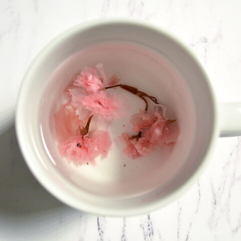 salted cherry blossom in water