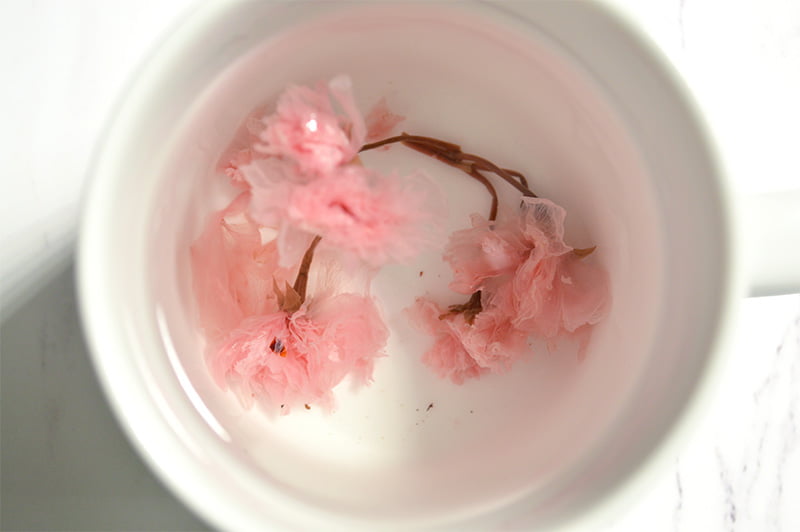 cherry blossom tea