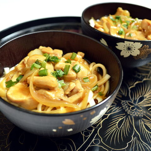 udon noodles with chicken curry soup